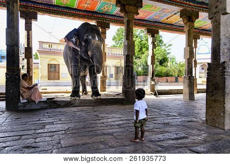 Kumbakonam, India - August 21, 2018: Curious Child Looks At The Sacred Elephant At The Entrance Of A