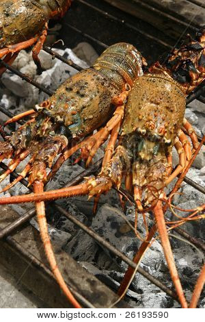Hummer auf einen Holzkohlegrill