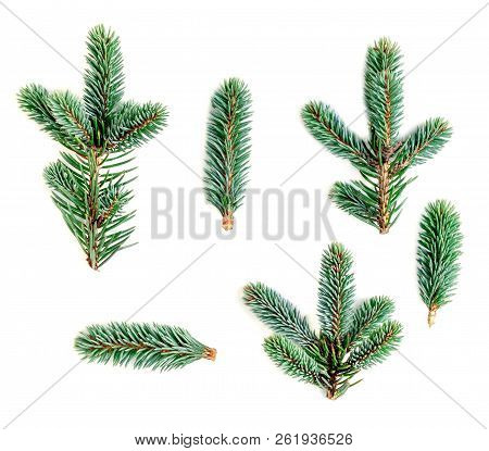 Set Of Fir Branches Isolated On White Background. Pine Branch, Confier Tree.  Christmas And New Year