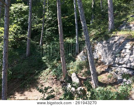 Nature In The Mountains On The Southern Coast Of Crimea. Botkin, Tarakhtashskaya, Miskhorskaya Trail