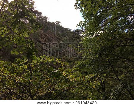 Nature In The Mountains On The Southern Coast Of Crimea. Botkin, Tarakhtashskaya, Miskhorskaya Trail