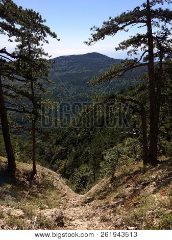 Nature In The Mountains On The Southern Coast Of Crimea. Botkin, Tarakhtashskaya, Miskhorskaya Trail