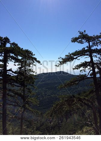 Nature In The Mountains On The Southern Coast Of Crimea. Botkin, Tarakhtashskaya, Miskhorskaya Trail
