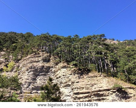 Nature In The Mountains On The Southern Coast Of Crimea. Botkin, Tarakhtashskaya, Miskhorskaya Trail
