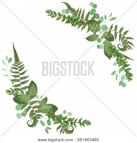 Vector Floral Bouquet Design: Set Green Forest Fern, Branches Boxwood, Buxus. Vector Watercolor Styl