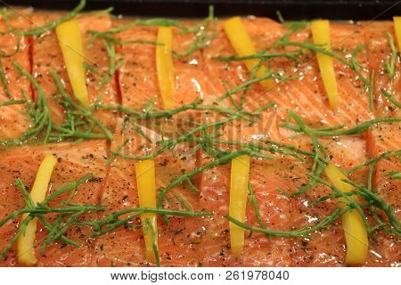Slices Of Fresh Salmon With Herbs, Oil And Pickleweed