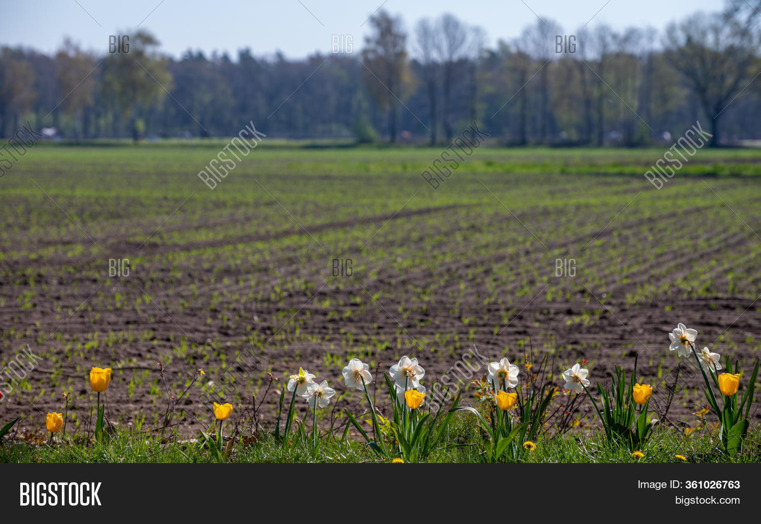 Countryside Landscape Image & Photo (Free Trial) | Bigstock