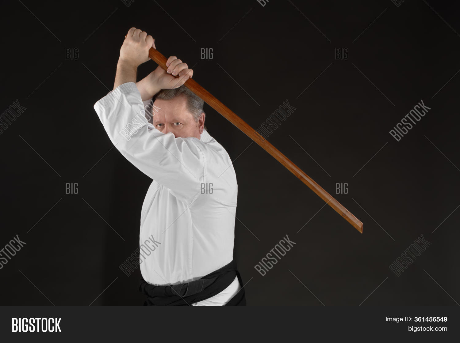 Portrait Aikido Master Image & Photo (Free Trial) Bigstock