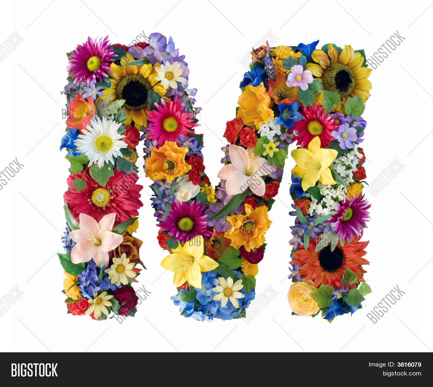 Flower Alphabet M Image & Photo (Free Trial) Bigstock