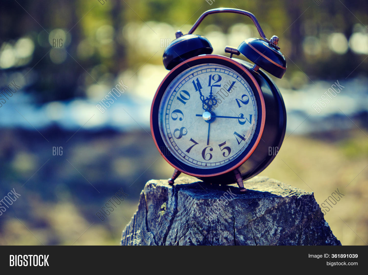 Alarm Clock Forest On Image & Photo (Free Trial) Bigstock