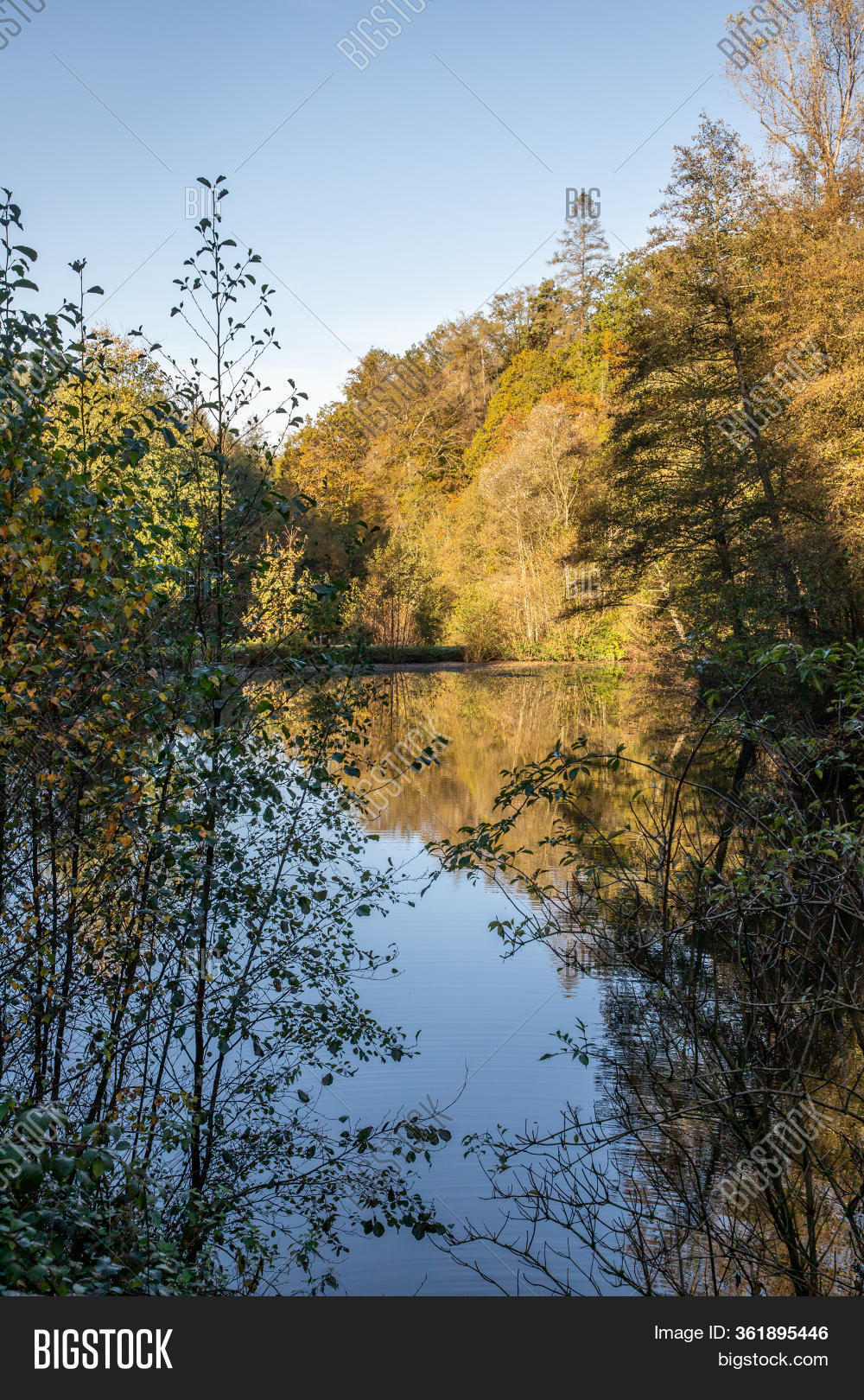 Lake Black Forest Image & Photo (Free Trial) Bigstock