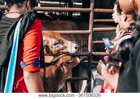 Mayapur, West Bengal, India - February 7, 2020. Multinational Group Of Teenage Girls On A Field Trip