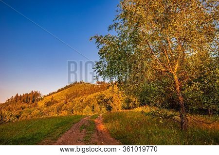 Mountainous Landscape With Tree In Foreground At Sunset. Kysuce Region In The North Of Slovakia, Eur