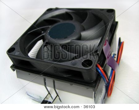 Cooler