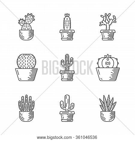 Cactuses In Pots Linear Icons Set. Mexican Tropical Flora. Succulents. Spiny Plants. Cacti Garden Co