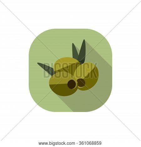 Vector Flat Design Olives At Green Background