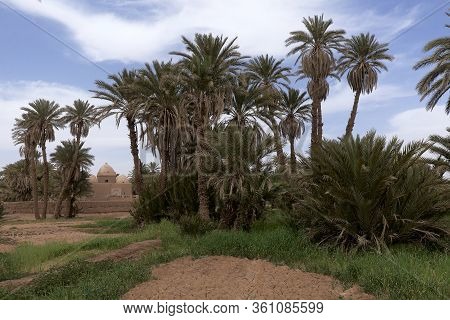 Adobe Buildings In M'hamid El Ghizlane.