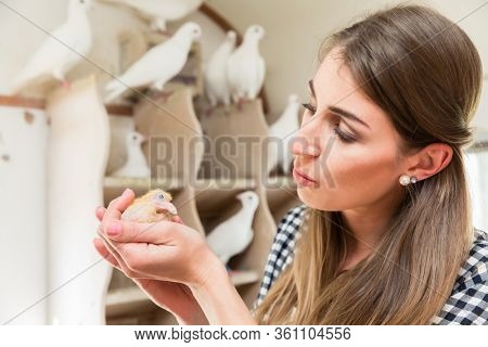 Woman holding a pigeon chick on her hand in a pigeon loft