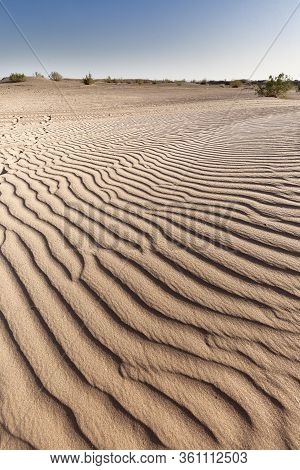 Landscape In The Desert In The Town Of M´hamid El Ghizlane In Morocco.