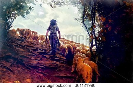 Flock Of Sheep On Beautiful Mountain Meadow, Painting Effect.