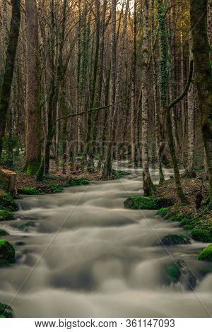 Long Exposure Of A Creek In A Forest In The Swiss Jura Mountains