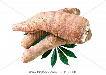 Cassava Tubers Fresh On Leaves Isolated White, Pile Cassava Manioc In Top View, Yucca Root For Flour