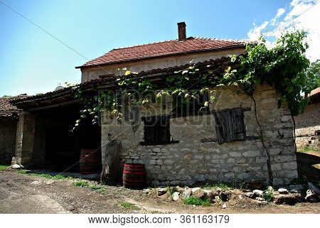 Wine Cellars