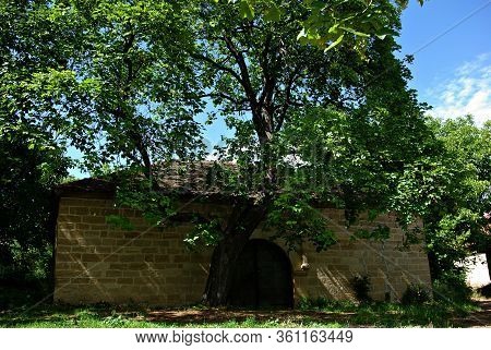 Wine Cellars