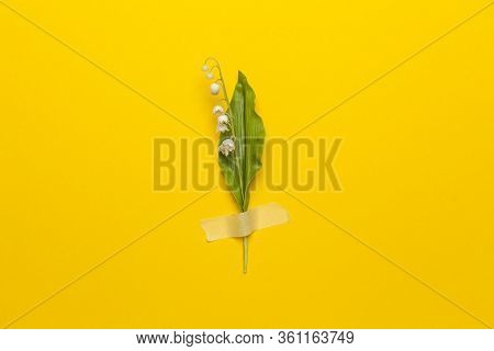 Lily Of The Valley Flower With Sticky Tape Isolated On Flat Lay Yellow Background. Minimal Spring We