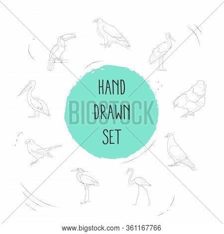 Set Of Fowl Icons Line Style Symbols With Jay, Flamingo, Heron And Other Icons For Your Web Mobile A