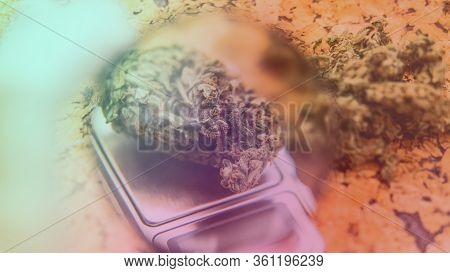 Growing Sativa And Indica Strains Indoor. Weed News From 2020
