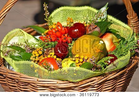 Colors of autumn