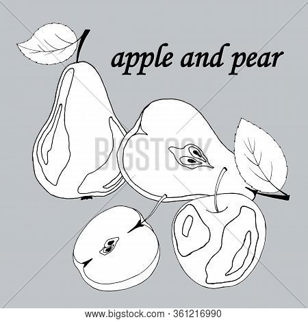 Apples And Pears Are Drawing In The Graph, Vector Illustration, Isolate On Gray Background