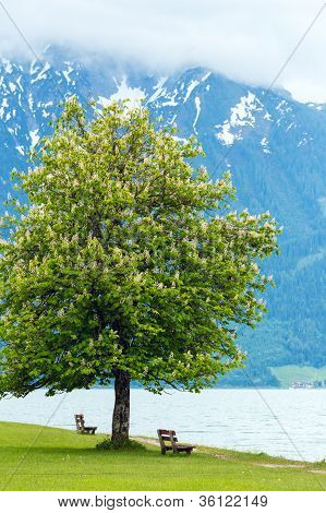 Achensee ร้อนนอน (ออสเตรีย)