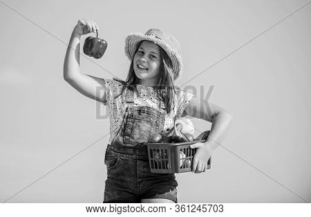 Made Right Choice. Kid On Summer Farm. Organic Food. Little Girl Vegetable In Basket. Only Natural. 