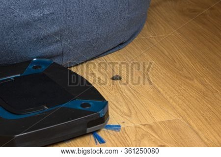 Robotic Vacuum Cleaner And Dust On Wooden Floor In Cozy Living Room With Navy Blue. Home Cleaning Co