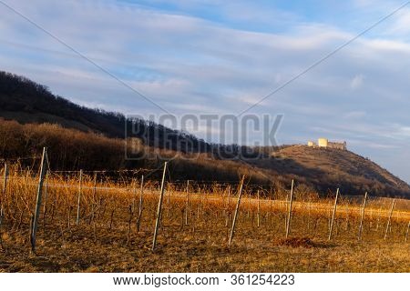 ruins of Devicky Castle with vineyards, Czech Republic