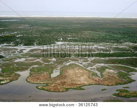 Pantano humedal