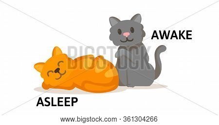 Words Asleep And Awake Flashcard With Cartoon Animal Characters. Opposite Adjectives Explanation Car