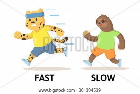 Words Fast And Slow Flashcard With Cartoon Animal Characters. Opposite Adjectives Explanation Card. 