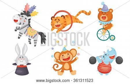 Circus Animals With Bear Cycling And Monkey Juggling With Balls Vector Set