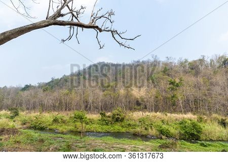 Tropical Forest And Waterfall Dry Season At Maewong National Park, Thailand.