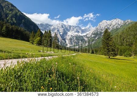Summer In Jezersko, Slovenia Mountain Valley Pasture With Kamnik-savinja Alps