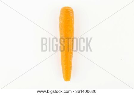 Human Hand Holding A Fresh Carrot. Fre Copy Space.