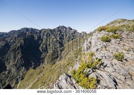 Portugal Madeira National Park Landscape