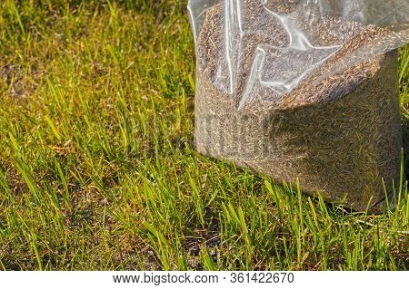 Sowing Grass, Setting Up A Lawn. Foil Packaging With Grass Seeds.