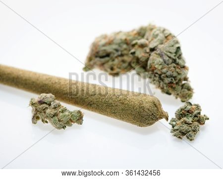 Alternative Medicine Rolled Joint With Marijuana Cbd Buds On White Background