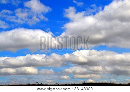ciel