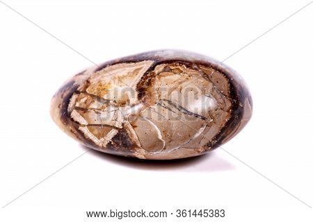Macro Mineral Stone Simbirzit And Septaria On White Background