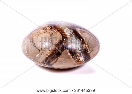 Macro Mineral Stone Simbirzit And Septaria On White Background
